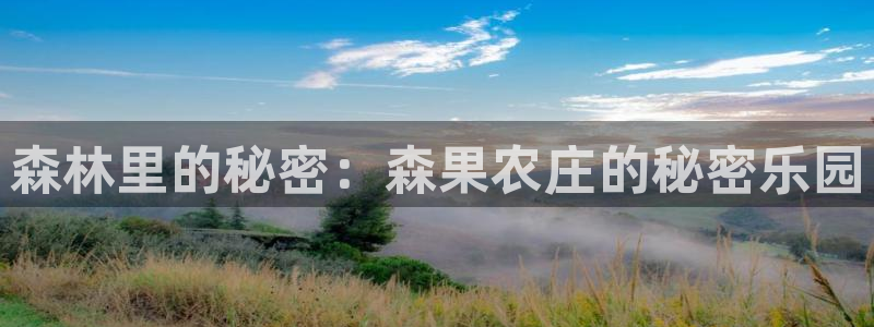 天辰娱乐娱乐平台