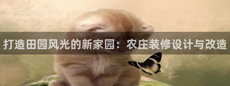 天辰娱乐直属