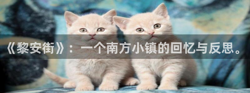 天辰娱乐 首选