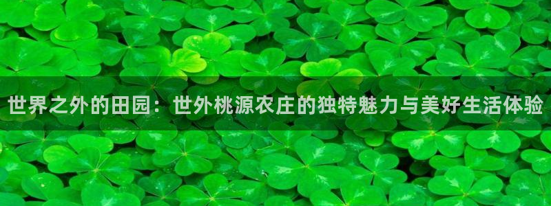天辰娱乐卡