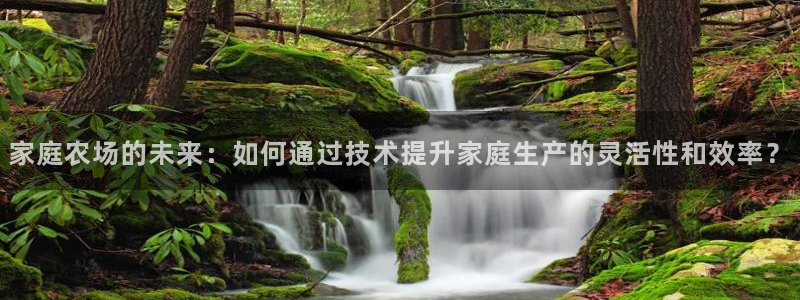 天辰娱乐开户