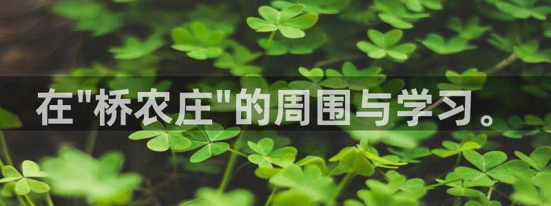 天辰娱乐输了