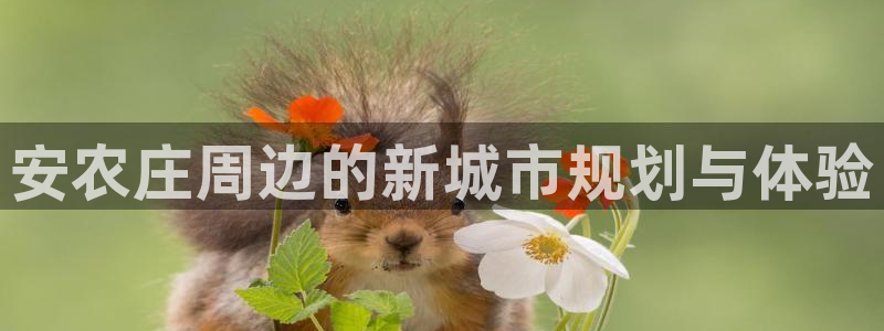 天辰娱乐