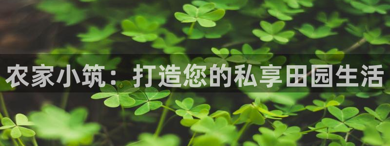 大同天辰娱乐