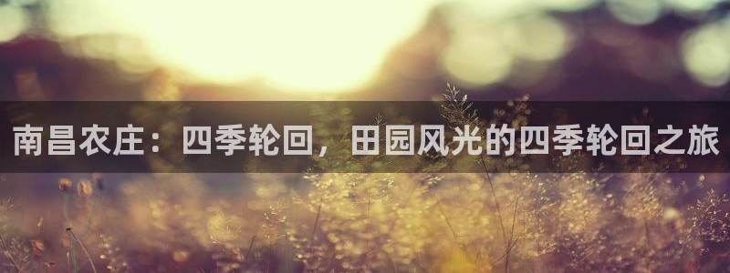 天辰娱乐卡