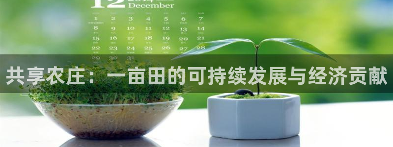 天辰娱乐十分彩