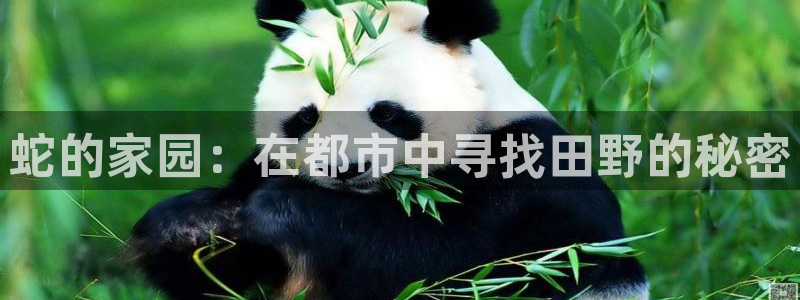 天辰娱乐反水