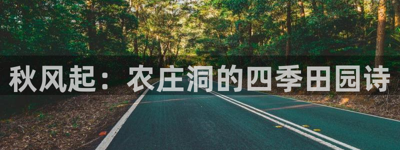 天辰娱乐1980