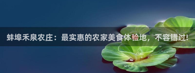 天辰娱乐文化