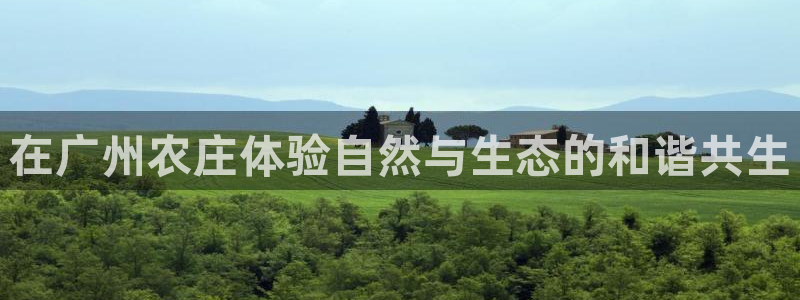 天辰辰娱乐代理