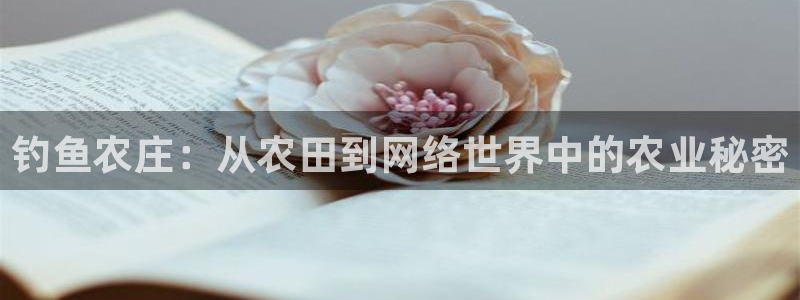 天辰娱乐游戏平台怎么样