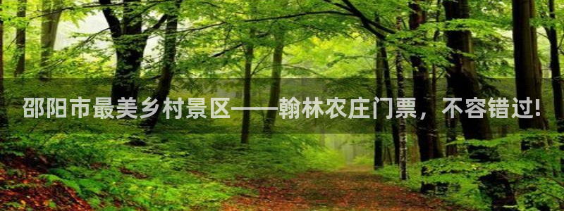 天辰娱乐总管