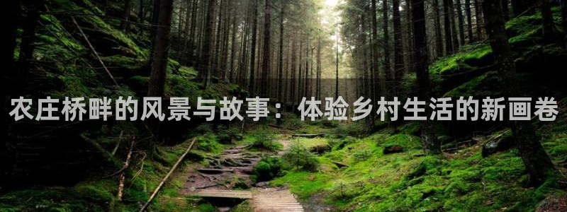 天辰娱乐官
