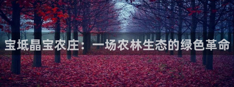 天辰娱乐台湾