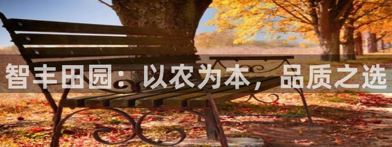 天辰娱乐557448