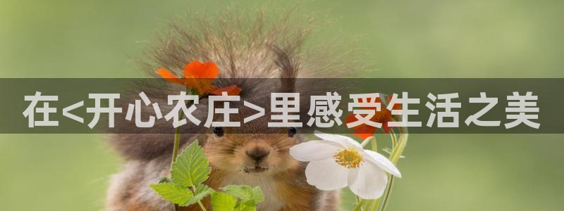 天辰平台娱乐