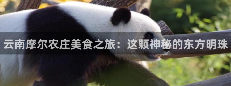 天辰娱乐游戏平台怎么样