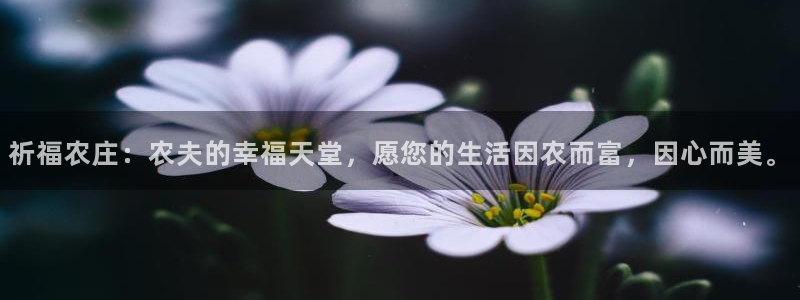 天辰娱乐登陆平台