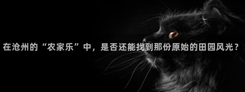 天辰娱乐平台注册