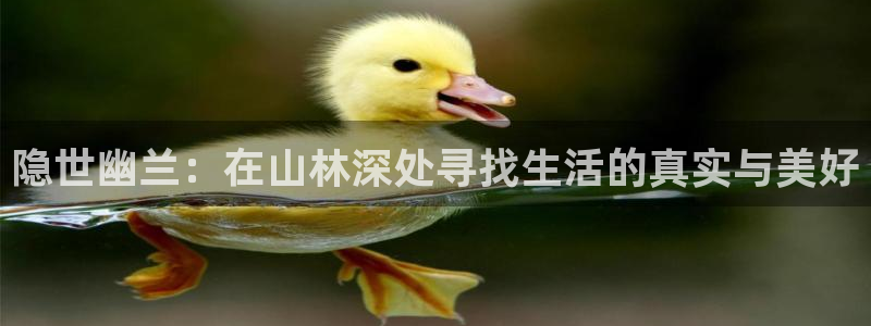 天辰娱乐官网平台入口