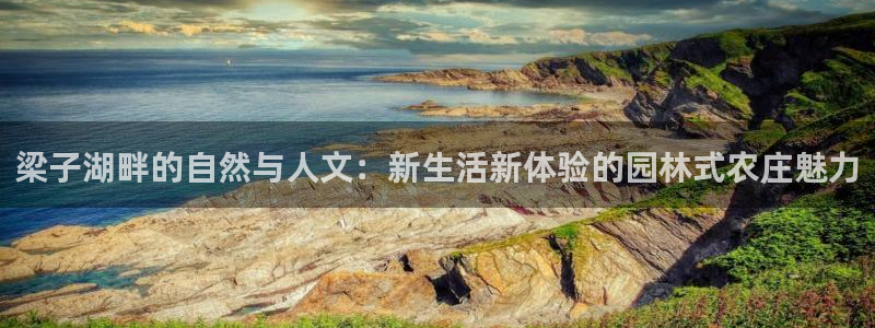 天辰娱乐官网平台入口