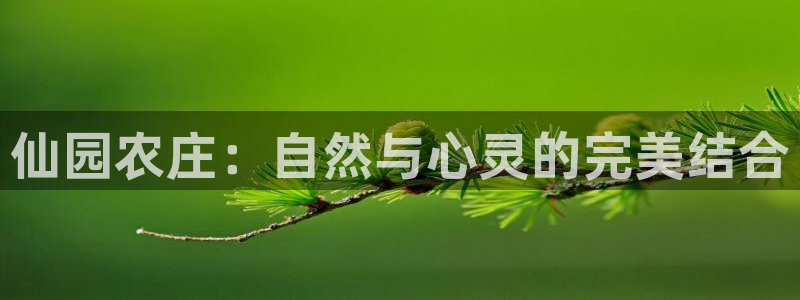 大同天辰娱乐