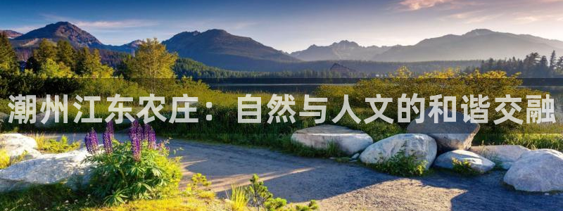 天辰娱乐分红