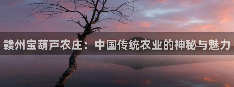 天辰娱乐10086