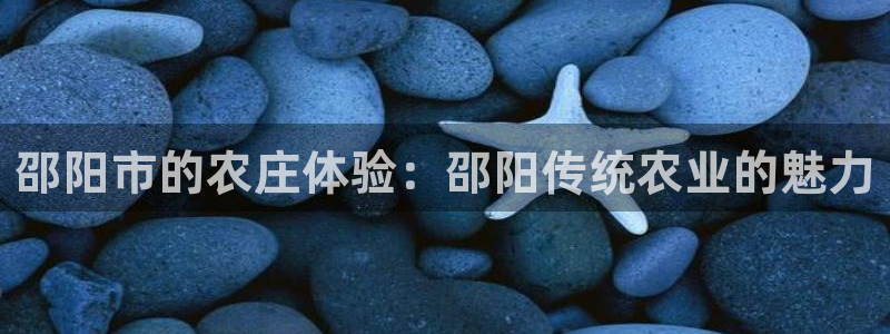 集宁天辰娱乐