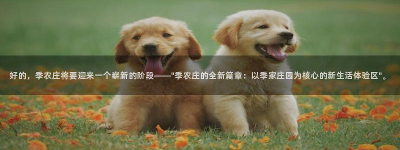 天辰娱乐首选