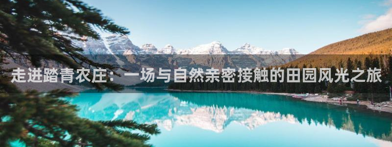 天辰娱乐1966