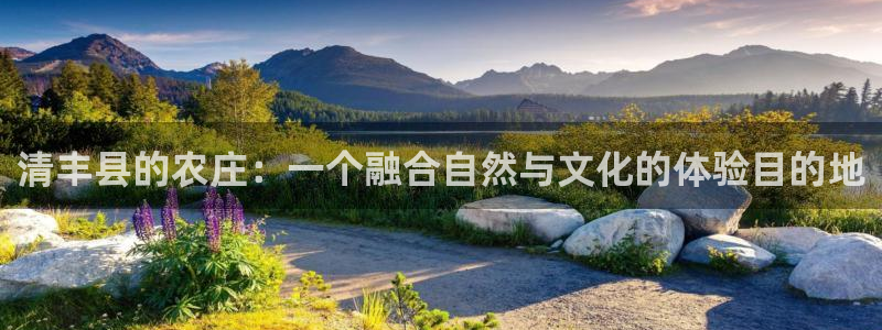 天辰娱乐咋样