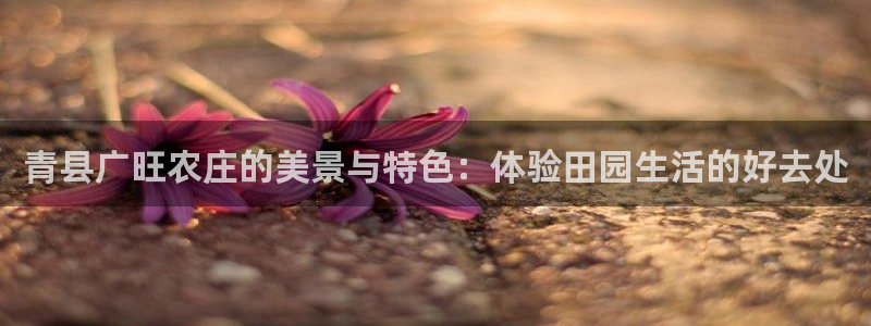 天辰娱乐728567