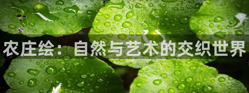 天辰娱乐挂机