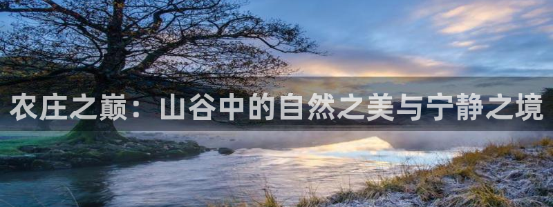 天辰娱乐视频