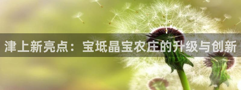天辰娱乐557696