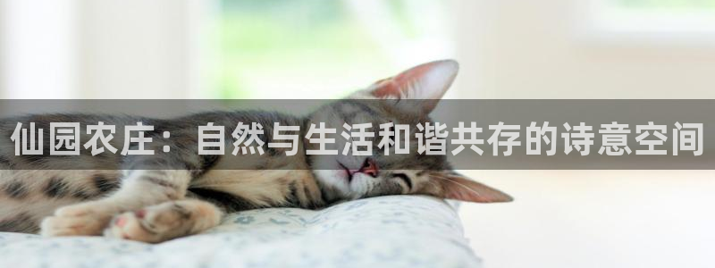 天辰娱乐下载链接