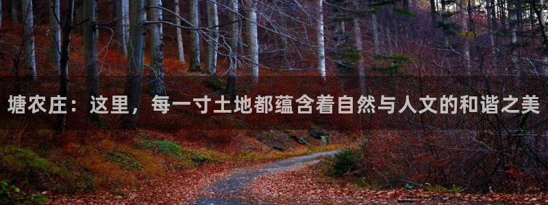 天辰娱乐十分彩