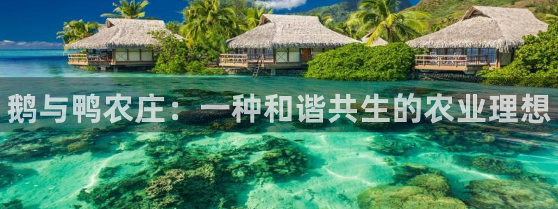 天辰娱乐主页