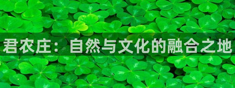天辰娱乐-q