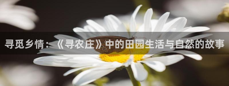 天辰娱乐注册