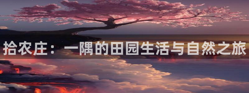 天辰臣娱乐